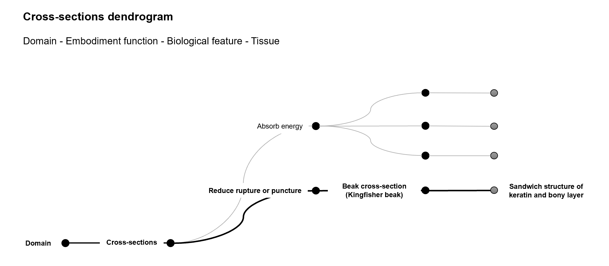 Cross-sections Dendrogram 1